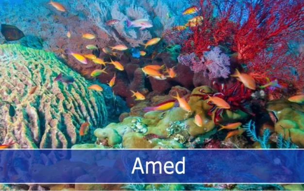 Discover the charm of this sleepy fishing village nestled along the east coast of Bali